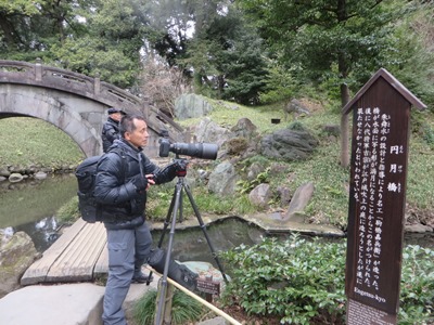 小石川後楽園 円月橋