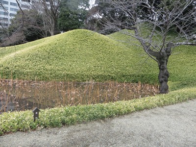 小石川後楽園 蓮池