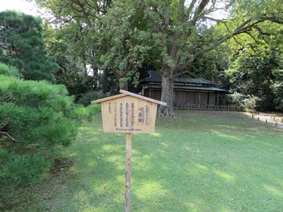 六義園 六義園八十八景の一 心泉跡(こころのいづみあと)
