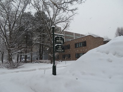 北海道大学 札幌キャンパス 中央通路を北上