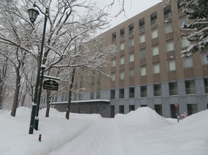 北海道大学 札幌キャンパス 中央通路を北上