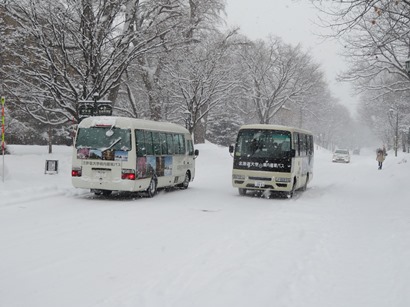 北海道大学 札幌キャンパス 中央通路を北上 構内循環連絡バス