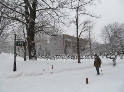 北海道大学 札幌キャンパス 中央通路を北上