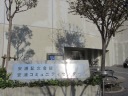 YLO