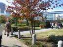 Cݒʂ@旧C^A