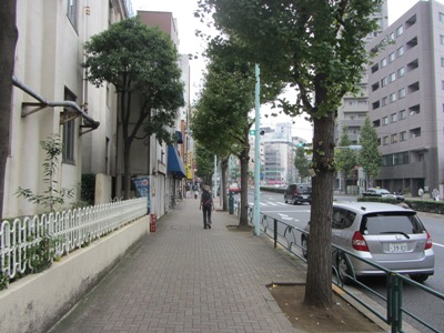 言問通り 朝顔市が開催される入谷鬼子母神前歩道