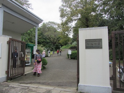 東京大学 小石川植物園