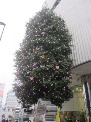 明治通り ラフォーレ原宿のクリスマスツリー