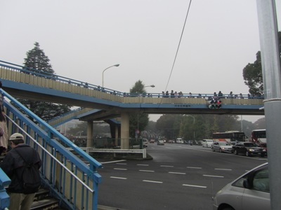 都道413号 代々木公園 神園町陸橋