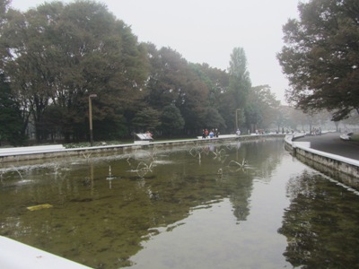 代々木公園 噴水池