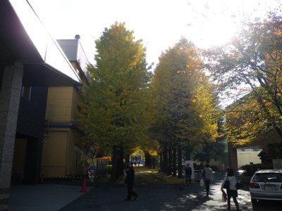 明治通り 大正大学