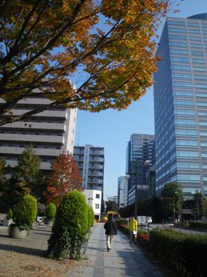 北斎通り 長崎橋で左折、大横川親水公園へ