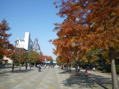 大横川親水公園を北上