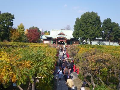 亀戸天神