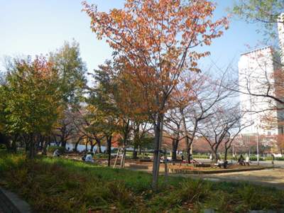 北斎通り 錦糸公園