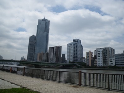 隅田川テラス(佃公園) 佃大橋、聖路加ガーデン セントルークスタワー