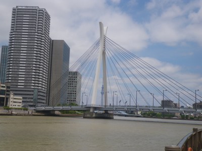 隅田川テラス(佃公園)から見た中央大橋