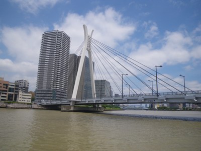 隅田川テラス(佃公園)から見た中央大橋