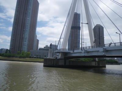 隅田川テラス(新川公園)から見た中央大橋