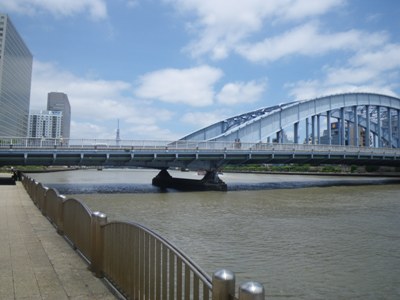 隅田川テラス(新川公園)から見た永代橋