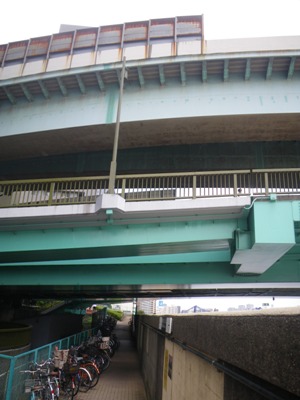 隅田川テラス(箱崎河岸緑道) 隅田川大橋下を歩く
