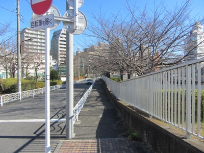 臨海公園前交差点を過ぎ、大横川沿いに歩く