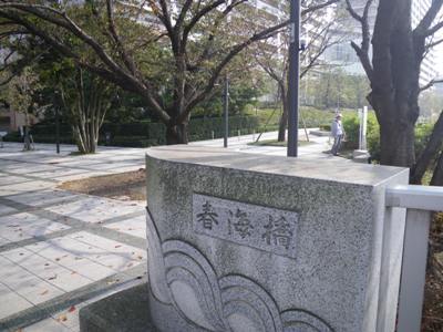 晴海通り 春海橋東詰で右折、春海橋公園へ