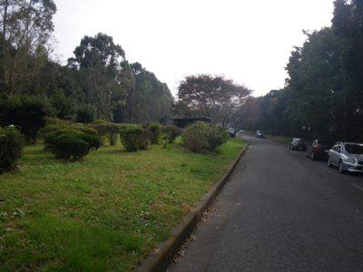 夢の島公園