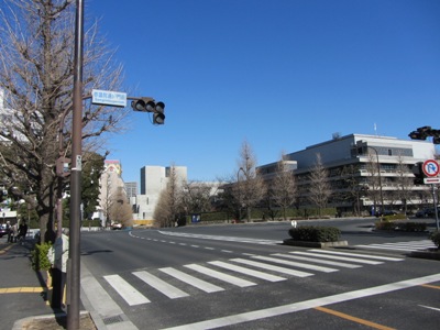 特定都道(中央官衙)257号 参議院通用門前交差点で左折、国道246号へ