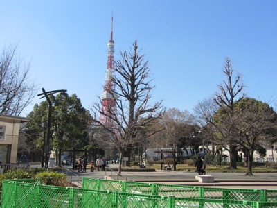 日赤本社通り 御成門交差点角の芝公園