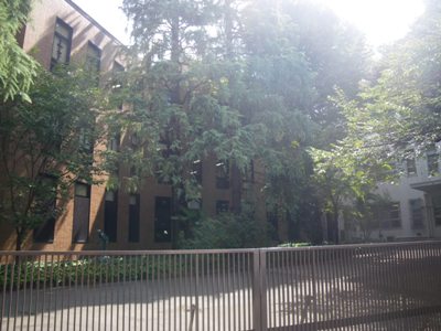 外苑西通り 慶應義塾 幼稚舎