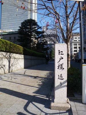 江戸桜通り 常盤橋交差点