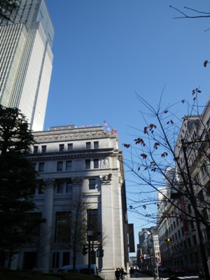 江戸桜通り 三井本館、三越本店