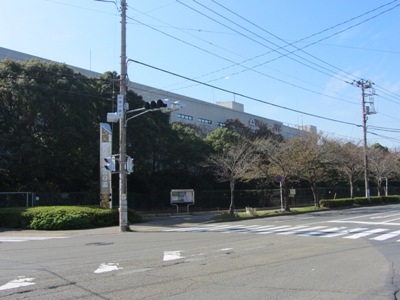 くりはま花の国沿いに北上