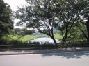 Chidoriga-huchi scenery from Daikanyama street@