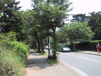 Daikanyama street