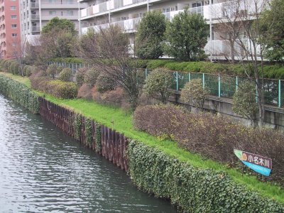 The Onakigawa River in Fukagawa is familiarity in a historical plays.