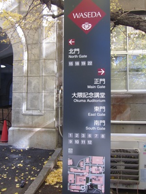 早稲田大学 早稲田キャンパス(本部) イチョウ並木を北上