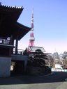 Shiba Zoujouji temple and Tokyo Tower@