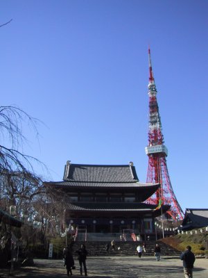 Shiba Zoujouji temple and Tokyo Tower