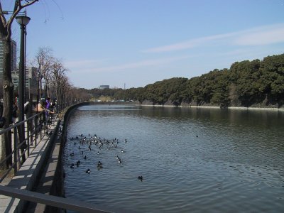 Scenery of the moat of the direction of Sakuradamon from the Hibiya intersection