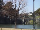 The Nijuubashi bridge perspective