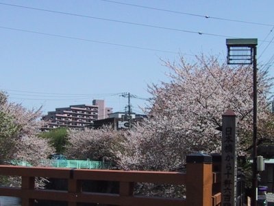 The old Nakasendo Highway Sketch