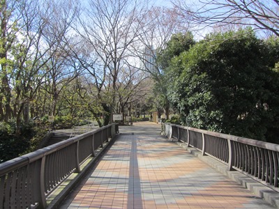 新宿中央公園 公園通り(新宿副都心12号線)に架かる公園北歩道橋を渡る