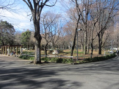 新宿中央公園 左側に進む