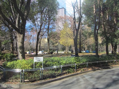 新宿中央公園 芝生広場